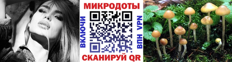 shop как зайти  Шиханы  Галлюциногенные грибы ЛСД  наркошоп  ОМГ ОМГ ссылка 